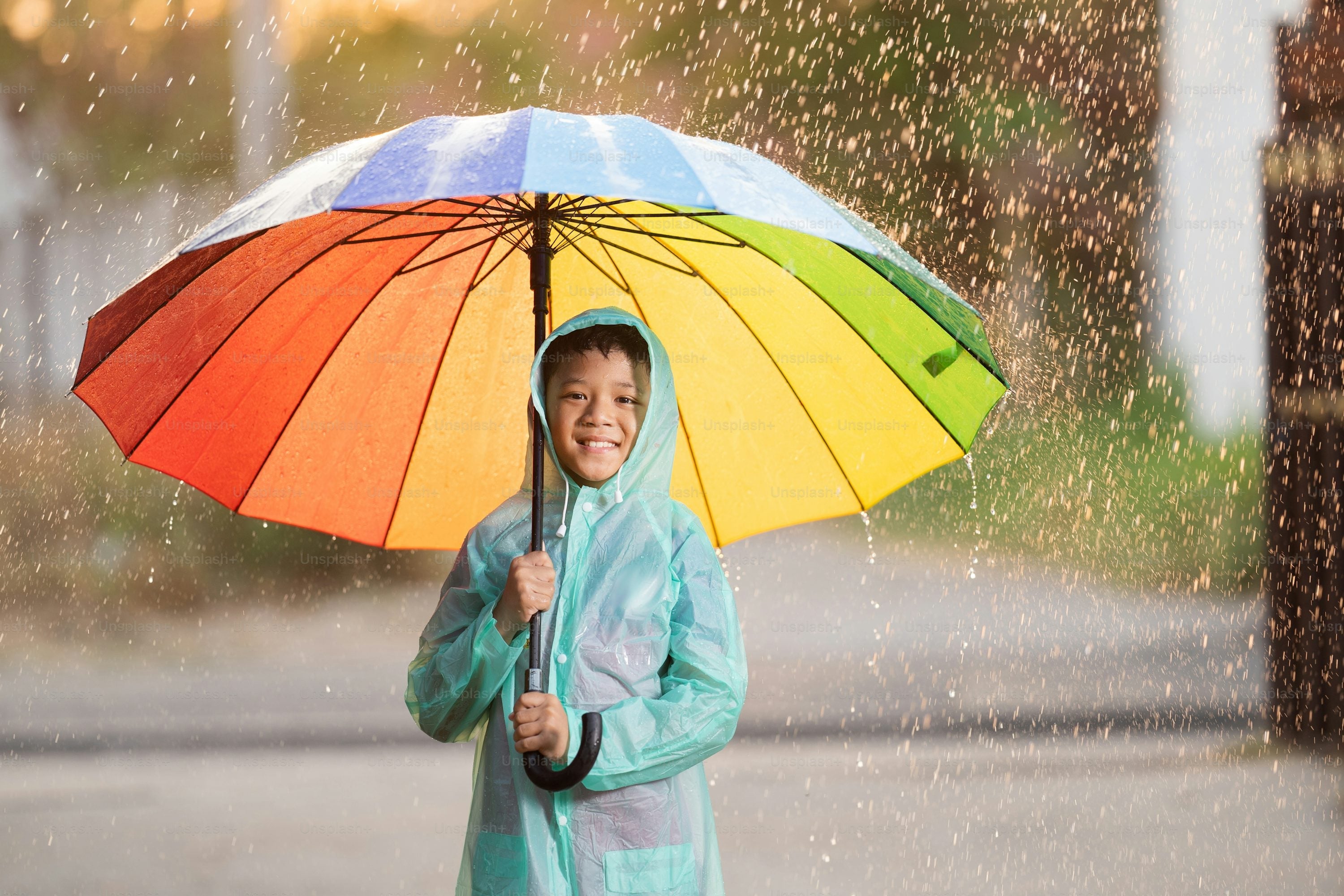 Umbrella