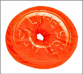 PLUSH PILLOW,10" CANDY SHP LIF