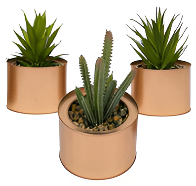 Artificial Succulent Plant 6-Inch Realistic Decorative Greenery