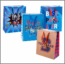 GIFT BAG,LRG FATHER'S DAY 2AST