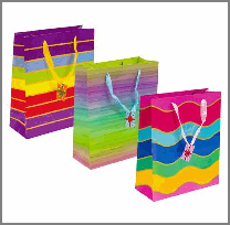 GIFT BAG,MED,3 ASST,EVERYDAY R