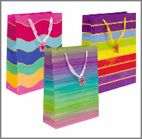 GIFT BAG,LRG,3 ASST,EVERYDAY R