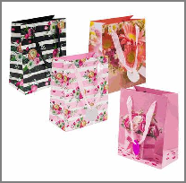 GIFT BAG,SML,4 ASST,EVERYDAY F