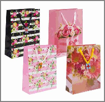 GIFT BAG,LRG,4 ASST,EVERYDAY F