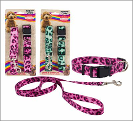 Dog Collar & Leash Set, 2-Piece (Medium)