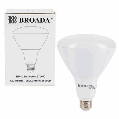 LIGHT BULB,13W LED -WHITE BOX