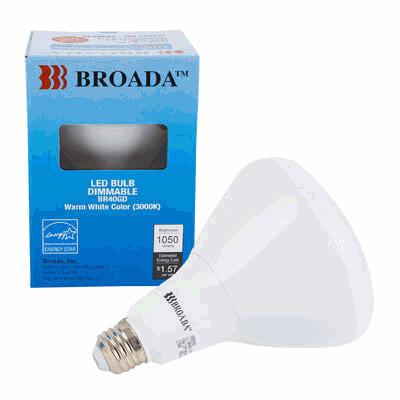 LIGHT BULB,13W LED - BLUE BOX