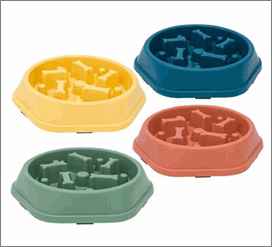 Pet Training Bowl – 4 Assorted Styles