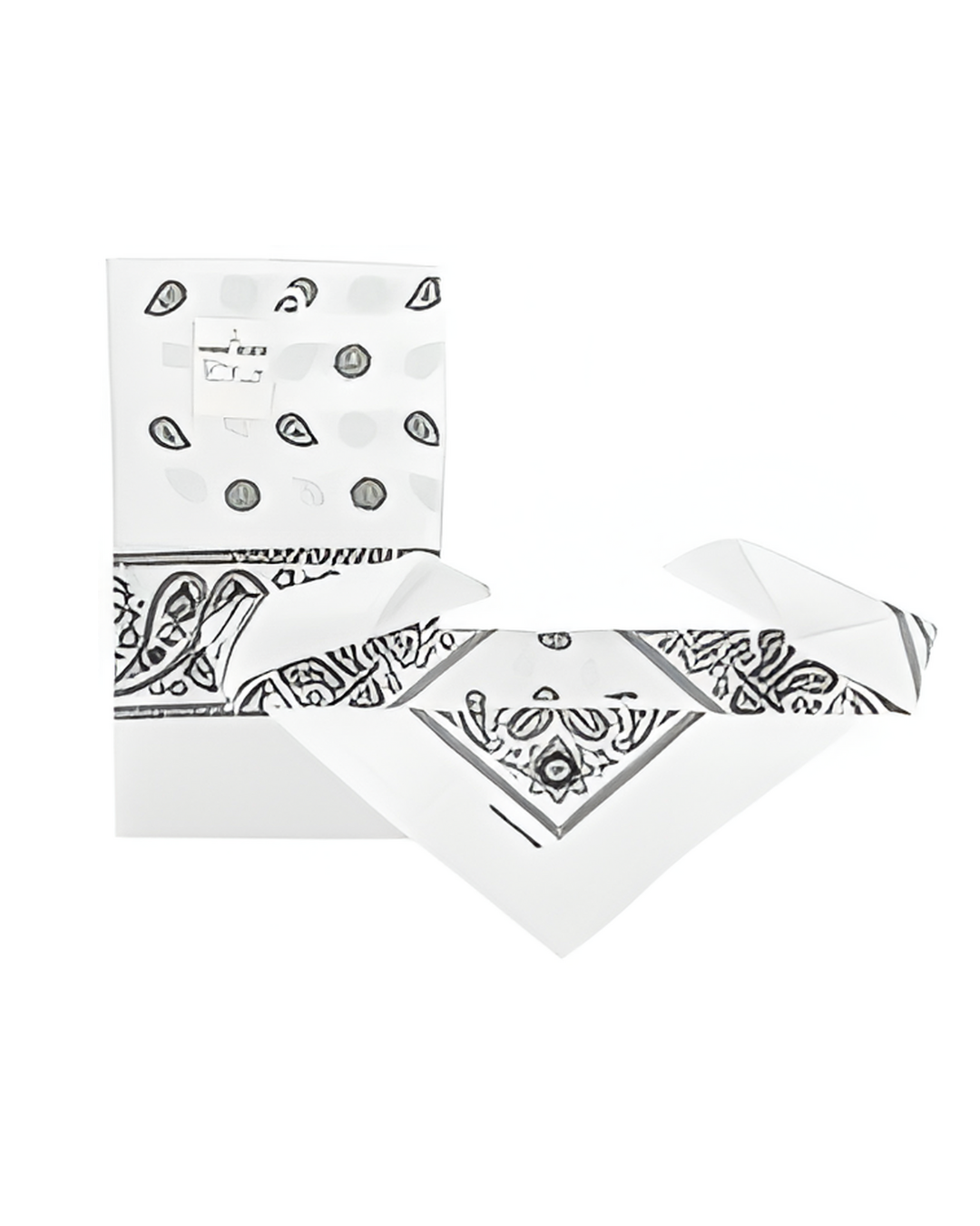 BANDANAS,PAISLEY PRINT WHITE