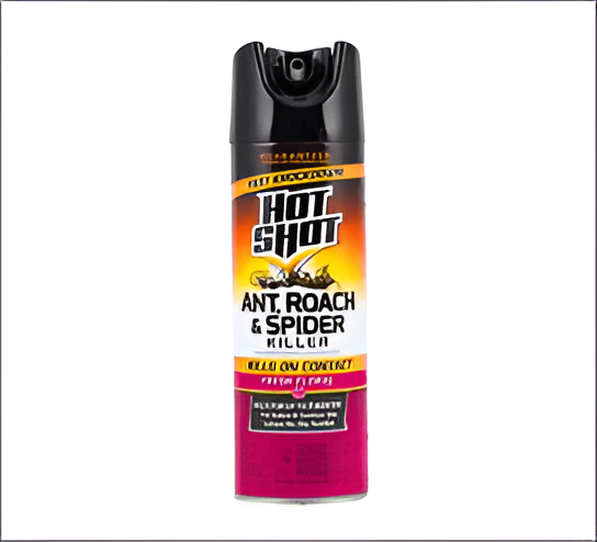 Insecticide 21.8oz – Ant & Roach Spray