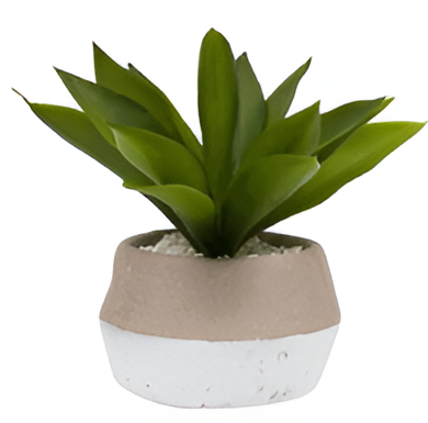 Artificial Maguey Plant 8-Inch Realistic Decorative Greenery